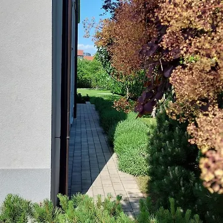 Appartement City Pine, Free Parking *