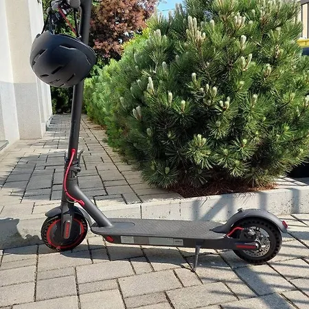 City Pine, Free Parking ليوبليانا
